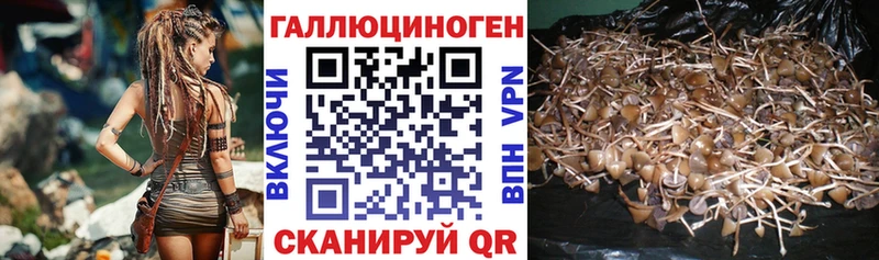 купить Карабаш блэк спрут ССЫЛКА Галлюциногенные грибы мицелий